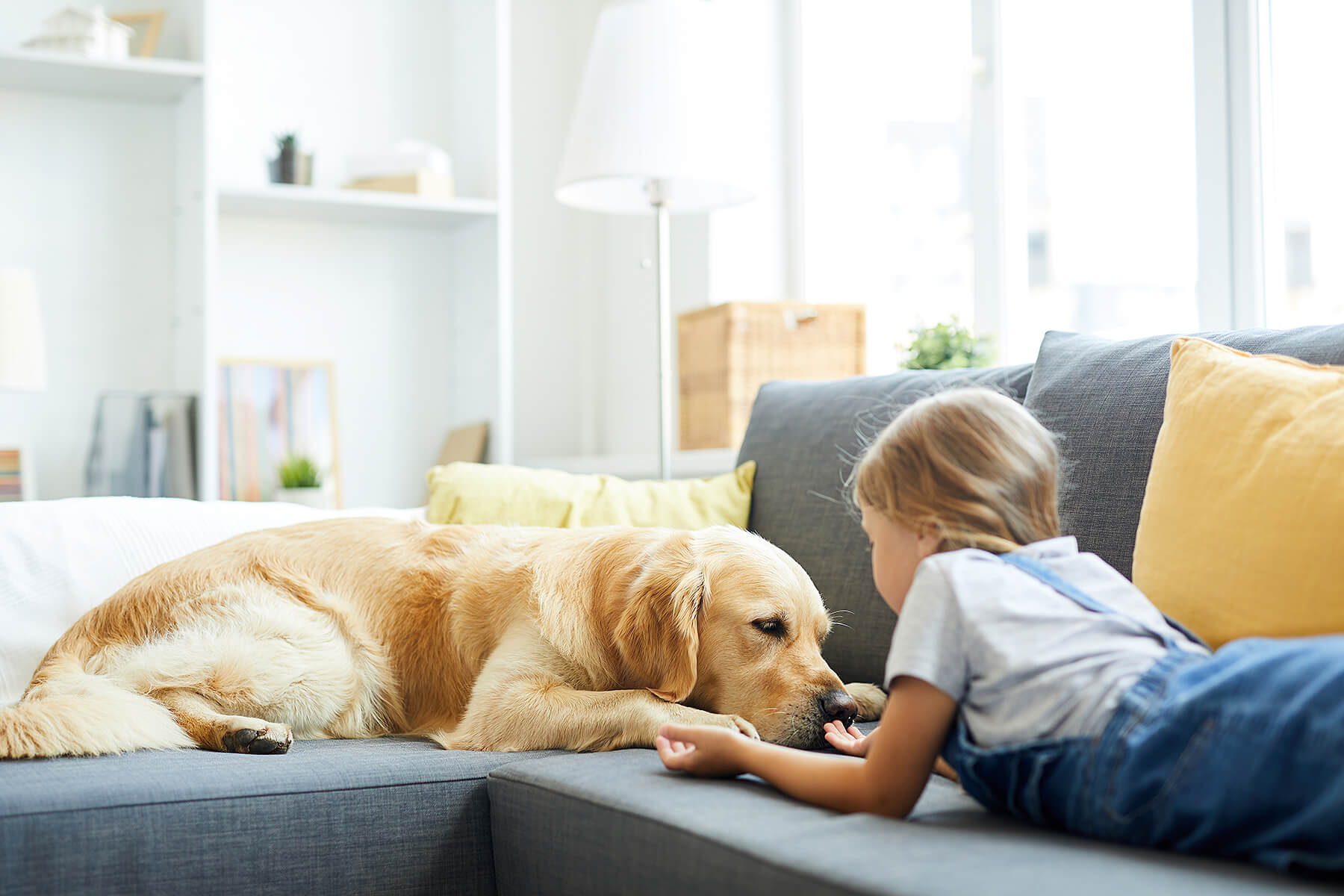 Dog lying on couch with girl