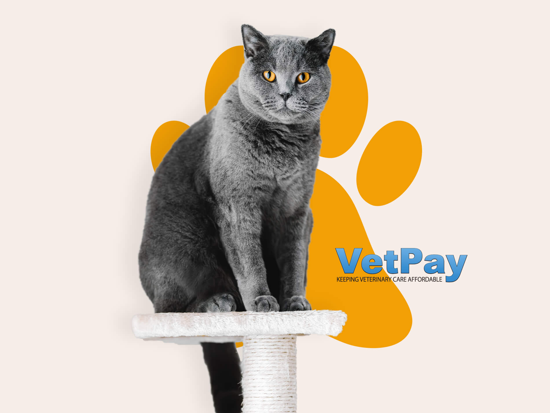 Avoid upfront costs & pay your expenses on a plan